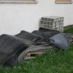 Kirchbankprojekt_Mai_001