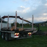Kirchbankprojekt_Mai_012