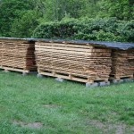 Kirchbankprojekt_Mai_017