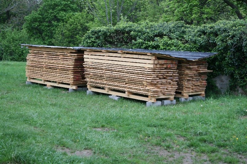 Und weiter geht´s am Dreistetter Holzweg!