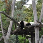 Miniausflug Schoenbrunn 004