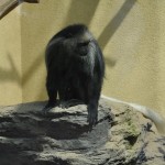 Miniausflug Schoenbrunn 012