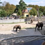 Miniausflug Schoenbrunn 014