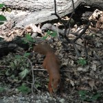 Miniausflug Schoenbrunn 015