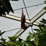 Miniausflug Schoenbrunn 018