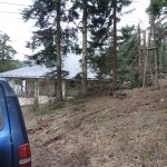 HoheWand Baumschaden 2015 001