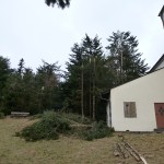 HoheWand Baumschaden 2015 005