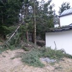 HoheWand Baumschaden 2015 006