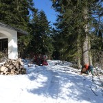 HoheWand Baumschaden 2015 023