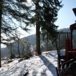 HoheWand Baumschaden 2015 029