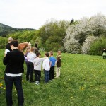 Kirtag 2015 049