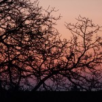Osternacht 2015 103