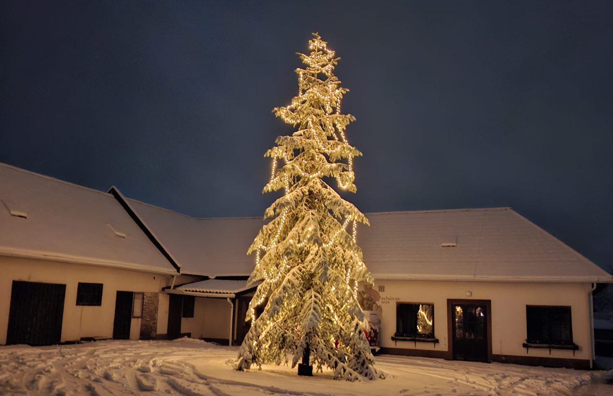 Spenden im Rahmen unserer Krippenandacht 2025