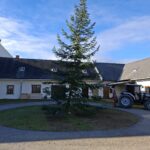 christbaum 2